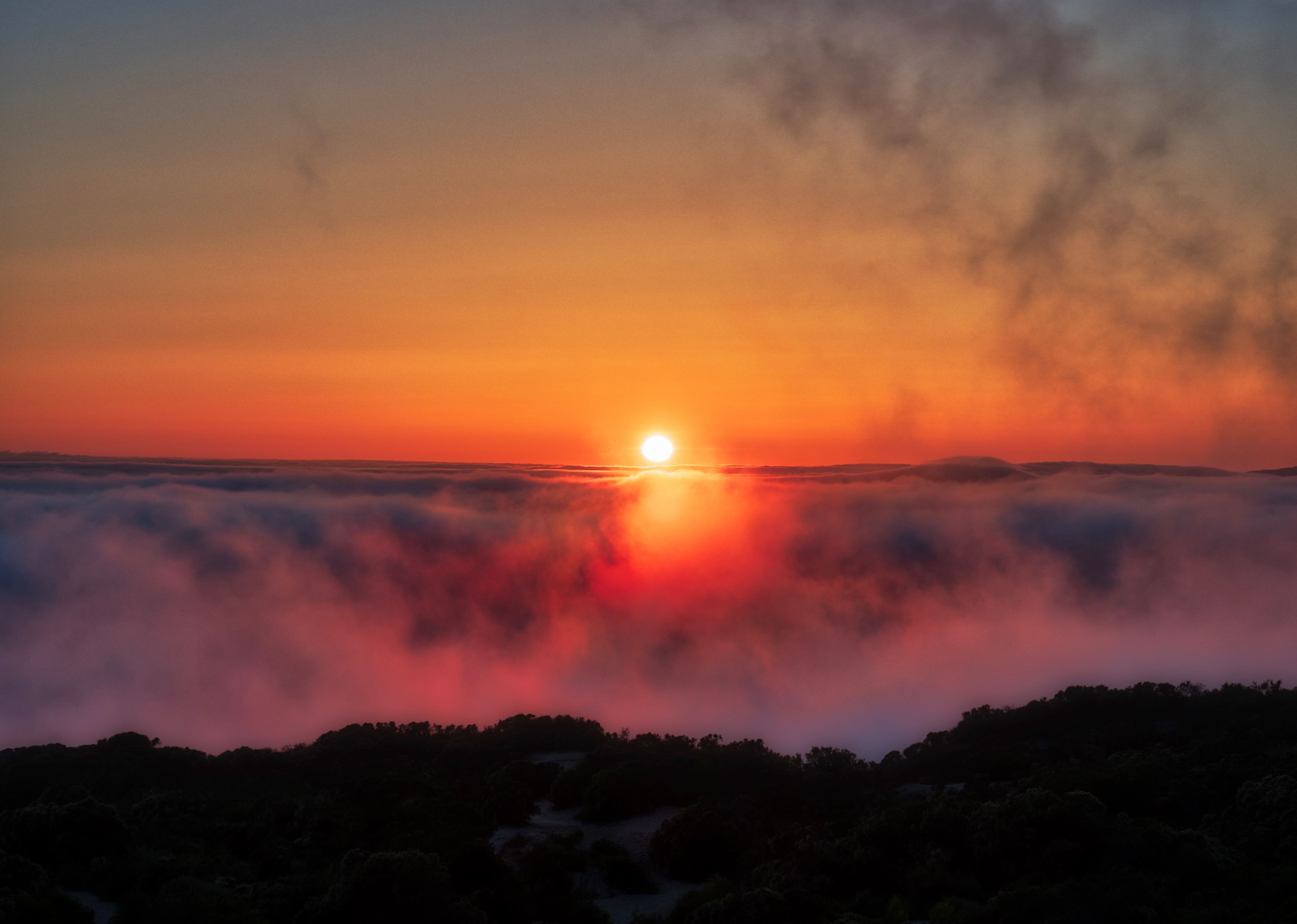 Sunset Fog